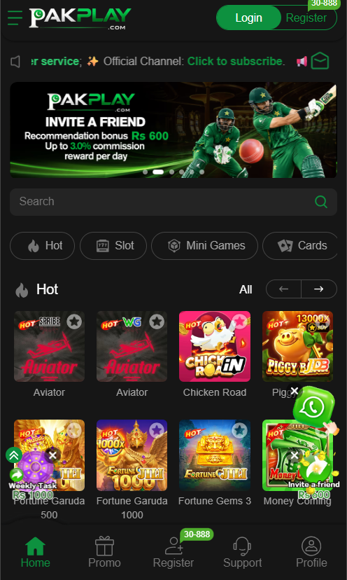PAKPLAY Game