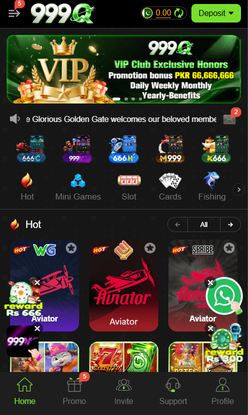 999Q Game